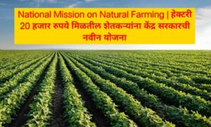 National Mission on Natural Farming | हेक्‍टरी 20 हजार रुपये मिळतील शेतकऱ्यांना केंद्र सरकारची नवीन योजना