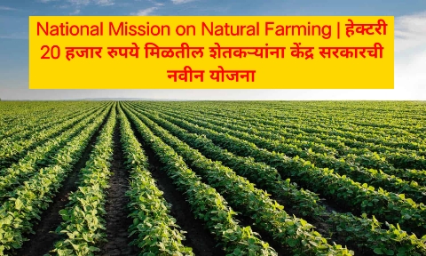 National Mission on Natural Farming | हेक्‍टरी 20 हजार रुपये मिळतील शेतकऱ्यांना केंद्र सरकारची नवीन योजना