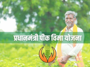 pm pik vima yojana in marathi