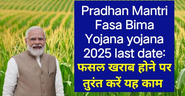 pradhan mantri fasal bima yojana 2025 last date: फसल खराब होने पर तुरंत करें यह काम, 31 July की Last Date