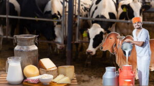Is up government subsidy for dairy farming? 