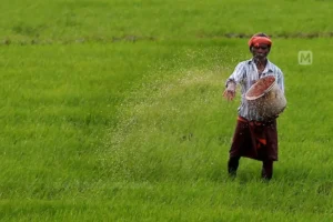 PM Kisan 20th Installment 2025