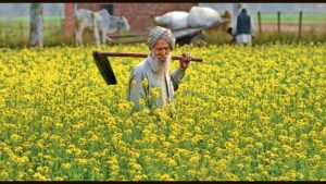 PM Kisan 20th Installment 2025