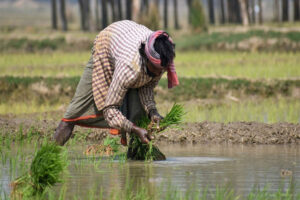 PM Kisan 20th Installment 2025