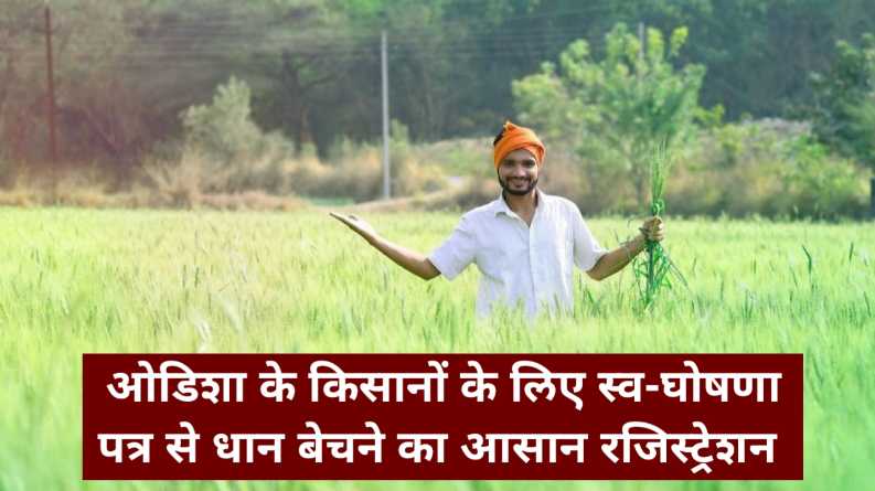 odisha farmers self declaration paddy registration 2025