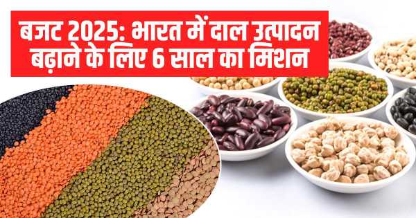 What Is The New Mission Launched To Achieve Self Sufficiency In Pulses