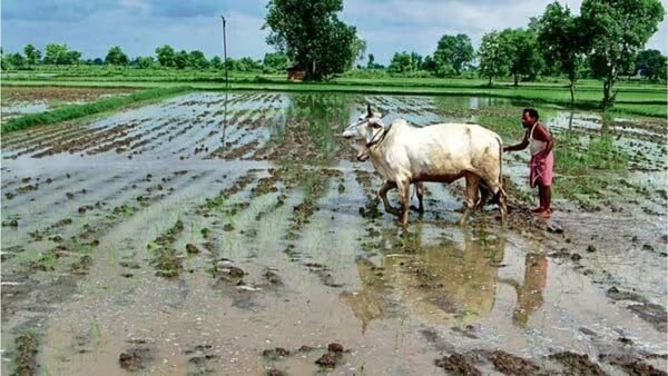 Mp e uparjan registration form online Farmer Registration