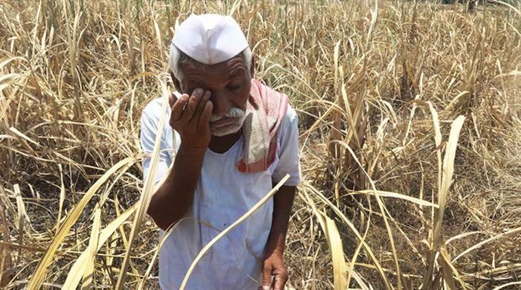 महाराष्ट्रातील शेतकऱ्यांसाठी सरकारी योजना Mahatma Jyotiba Phule Shetkari Karj Mukti Yojana 2025